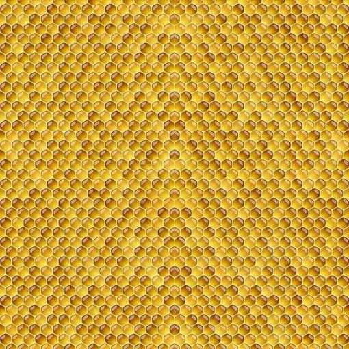 Quilt Kit - Sunshine Spin - 61.5" X 72" Sunflower Throw Quilt - Multi - Top & Binding - Image 6