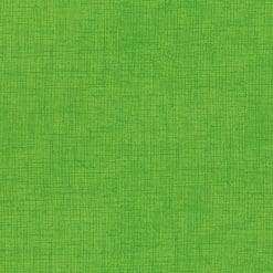 Timeless Treasures - Mix Basic - Blender Texture - Lime