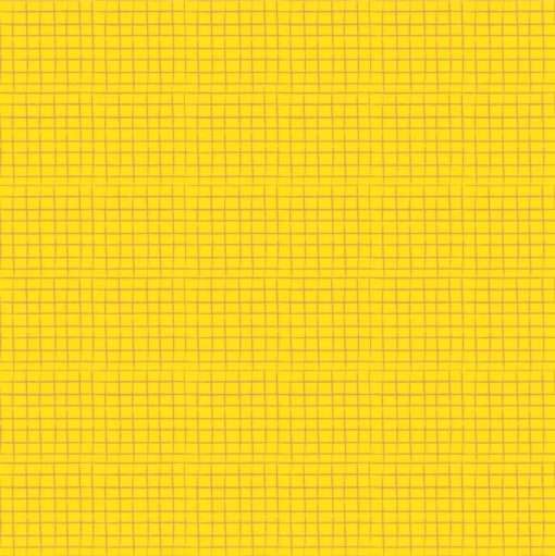 Quilt Kit - Bird Brain - 40" X 44" Fun Birds And Pinwheels Small Quilt - Top & Binding - Image 6